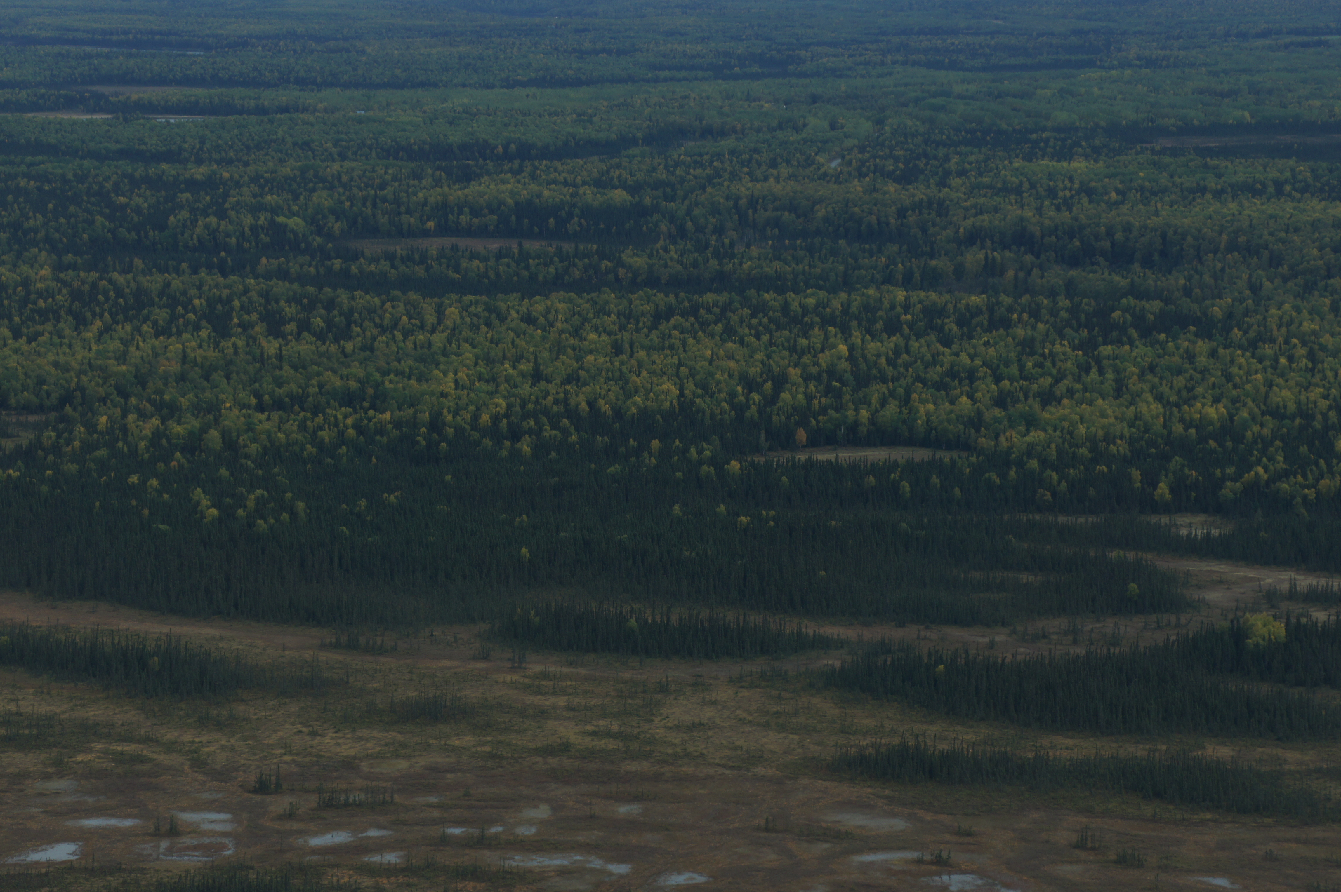 Click to return to the thumbnail index